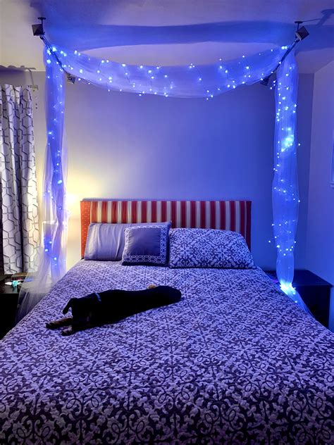 20+30+ Fairy Lights On Wall – HOMYRACKS