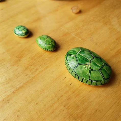 Turtle Shell Hand Painted Rocks for Home Decoration or to Add Some Life ...