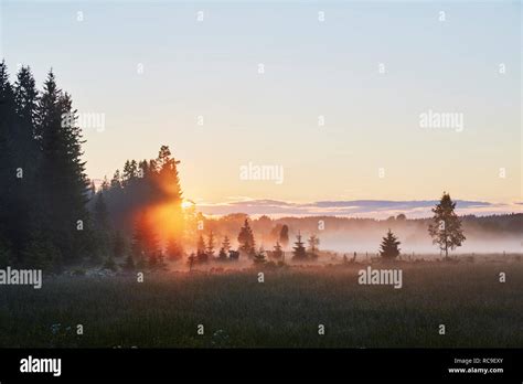 Field at sunset Stock Photo - Alamy