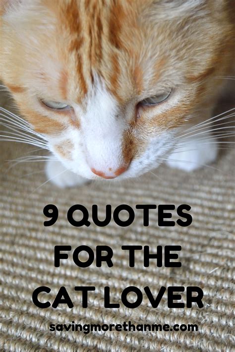 9 Quotes For The Cat Lover | winterandsparrow.com