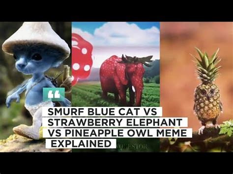 BLUE SMURF CAT Vs STRAWBERRY ELEPHANT Vs PINEAPPLE OWL MEME EXPLAINED ...