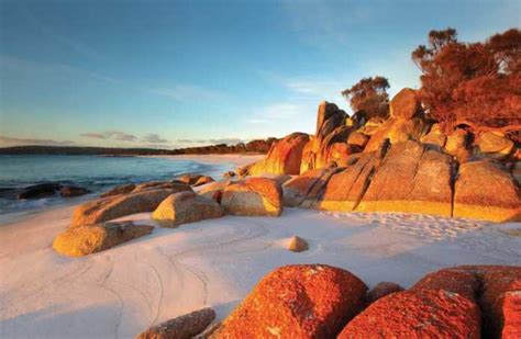 10 Beautiful Beaches In Tasmania To Visit In 2024