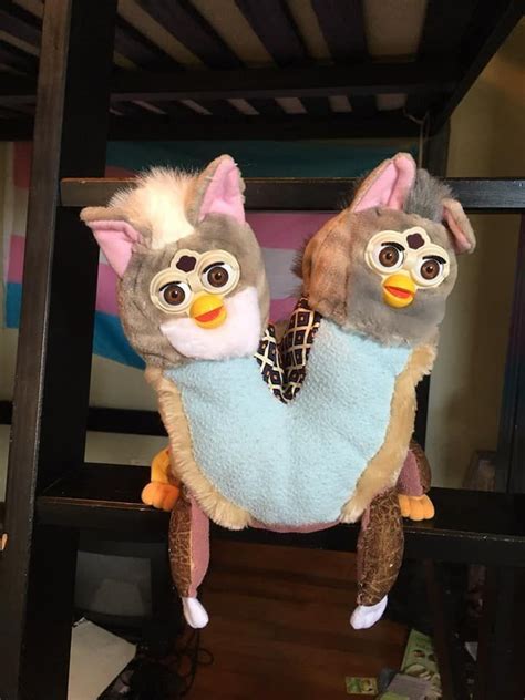 Pin by Madeira Miller on Furby | Furby, Weird images, Funny animal memes