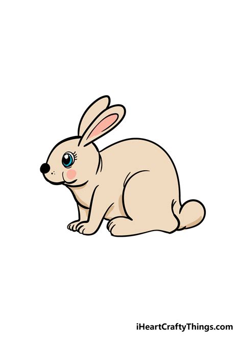 Rabbit Drawing - How To Draw A Rabbit Step By Step