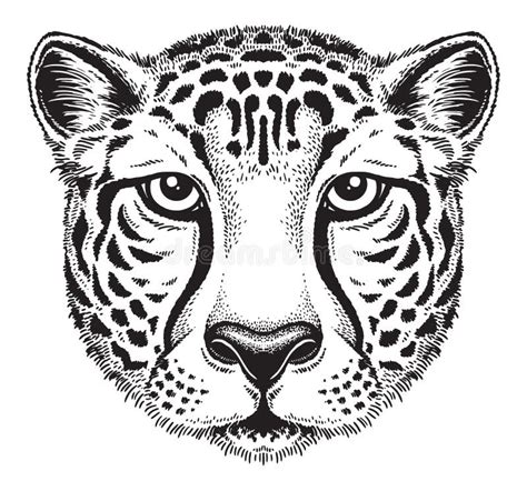 Simple Cheetah Face Coloring Pages