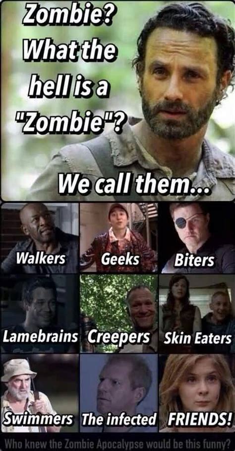 25 Walking Dead Funny Quotes Sayings & Graphics | QuotesBae