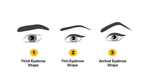 Different Types Of Eyebrows