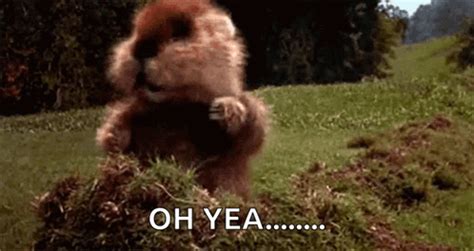 Caddyshack Gopher GIF - Caddyshack Gopher Dancing - Discover & Share GIFs