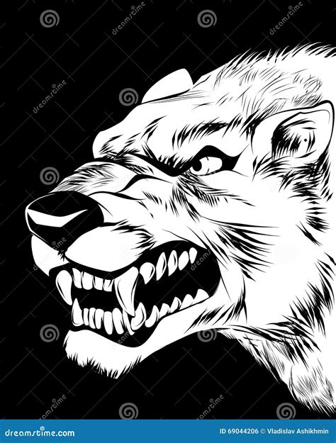 Wolfish grin on black stock vector. Illustration of tattoo - 69044206