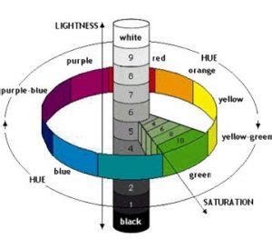 Judging Emerald Quality - Factors and Criteria For Value And Beauty ...