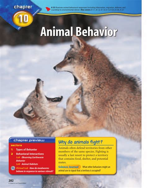 (PDF) Animal behaviour