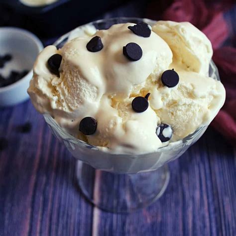 Recipe Condensed Milk Ice Cream | Bryont Blog