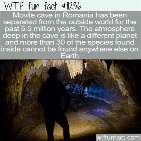 WTF Fun Fact - Movile Cave Romania