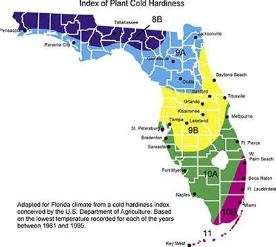 Plant Hardiness map of Florida | Map of florida, Florida, Florida gardening