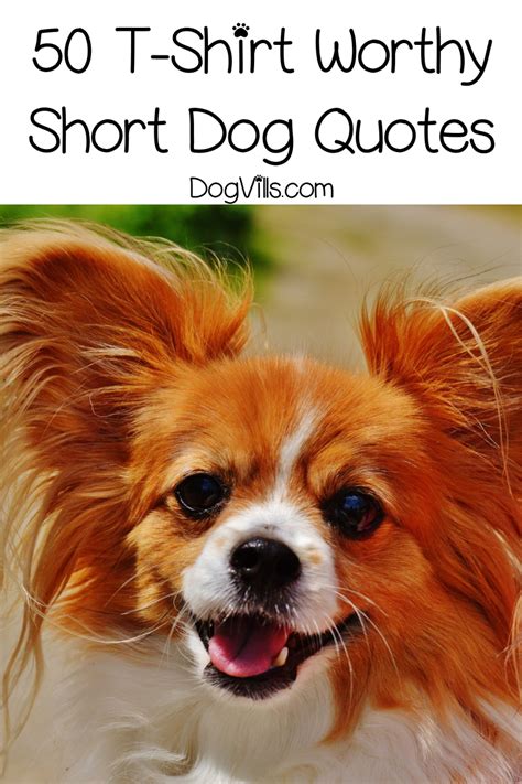 85 Short Dog Quotes That Are Perfect For Handmade Gifts