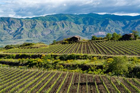 Interesting Facts about Etna in Sicily region | Winetourism.com