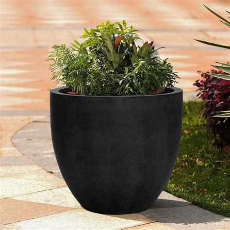 Large Indoor Plant Pots - Foter