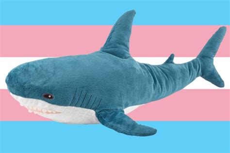 How the IKEA Shark Became a Trans Icon