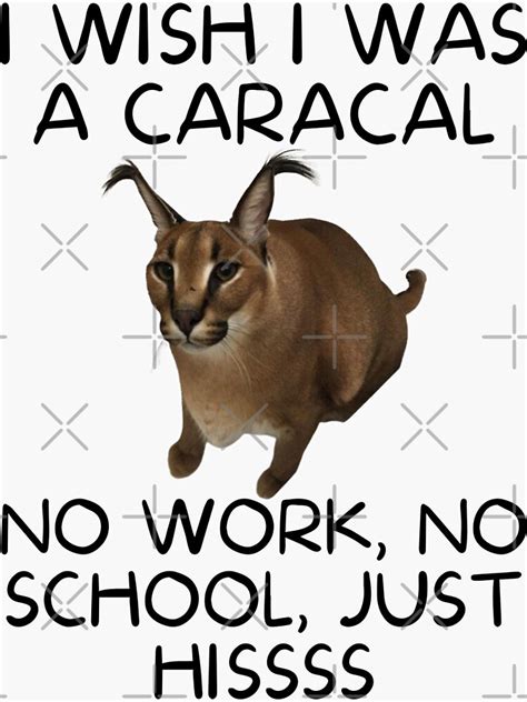 "Big Floppa Lover For Kids, Cute Big Caracal Cat Hiss Meme" Sticker for ...