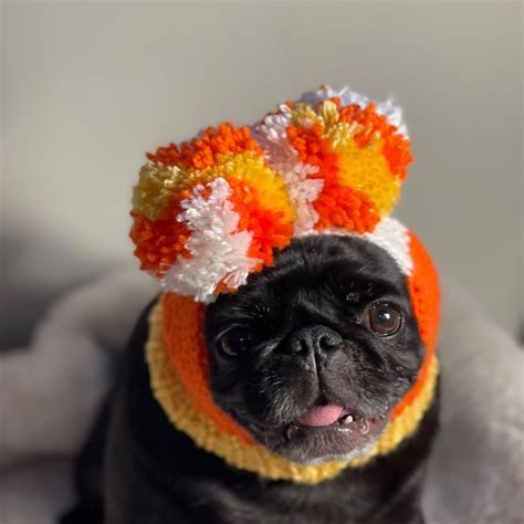 Pug Hat - Etsy