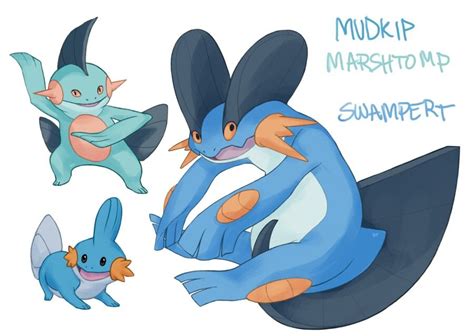 Mudkip evolutions | Mudkip, My pokemon, Pokemon art