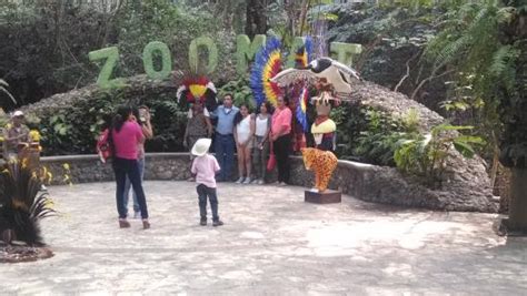 Entrada - Picture of Miguel Alvarez del Toro Zoo (ZOOMAT), Tuxtla ...