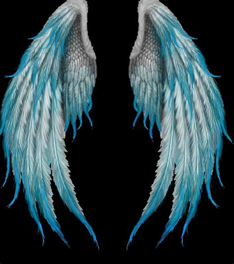 Angel Wings By Pikoto On Deviantart Wings Drawing Angel Wings | Images ...