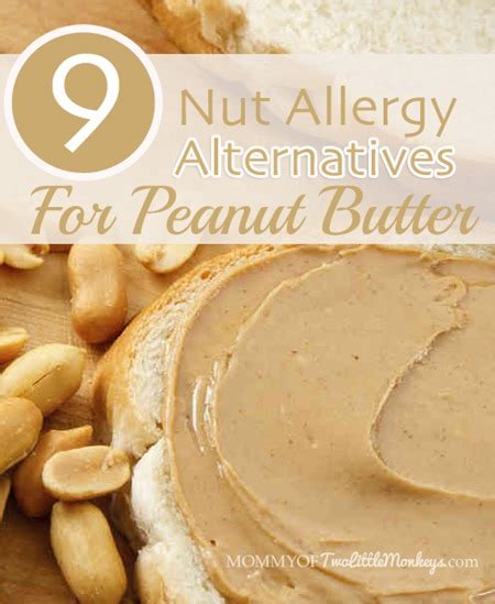 9 Nut Allergy Alternatives for Peanut Butter