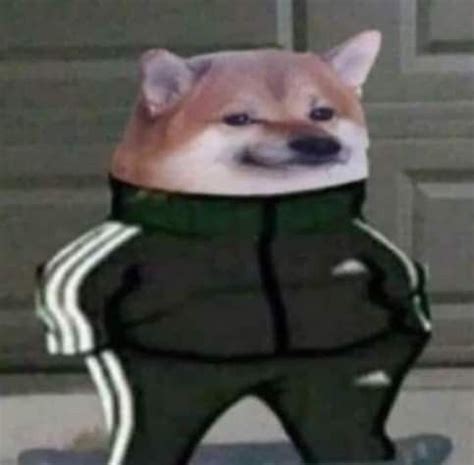 Russian slav Adidas doge : r/MemeTemplatesOfficial