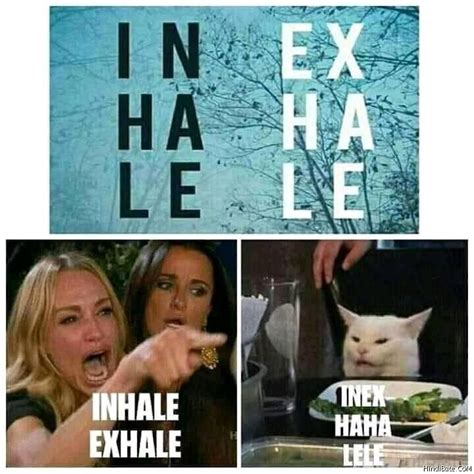 Inhale exhale vs inex haha lele cat meme - HindiBate.CoM