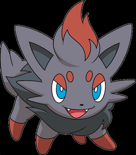 Pokemon #570 Zorua Common Picture - For Pokemon Go Players