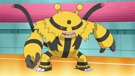 Volkner (anime) | Pokémon Wiki | Fandom powered by Wikia