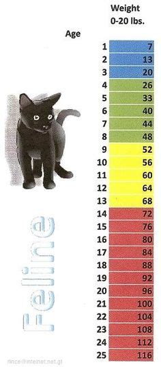 30 Pet Aging charts ideas | dog ages, dog age chart, pets