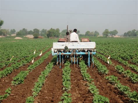 Mapping Soil Fertility to Boost Pakistan's Agricultural Production ...