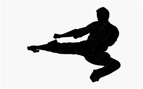 Silhouette Flying Kick Taekwondo Martial Arts - Flying Side Kick ...