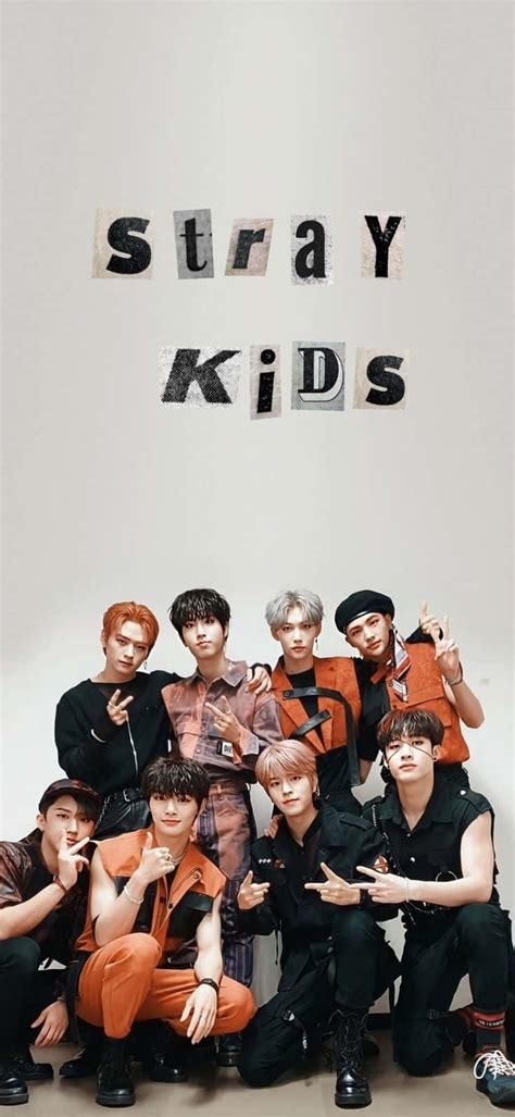 Download The 8 members of Stray Kids, together living the dream ...