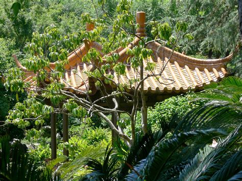 Pagoda Roof Through Foliage Free Stock Photo - Public Domain Pictures