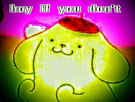 OMG I LOVE POMPOMPURIN | Wholesome memes, Fresh memes, Dankest memes