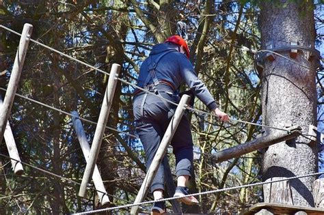 Here’s How to Use a Climbing Tree Stand - Wilderness Today