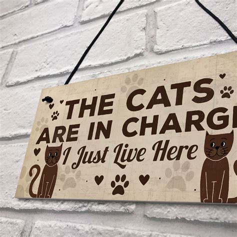 Funny Cat Gifts For Cat Lovers Gift For Women Home Decor Animal Sign ...