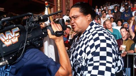 “Do Yourself a Favour and Watch This Wonderful Tribute to Yokozuna ...