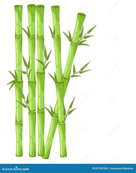 Bamboo with Leaf Illustration. Asian Bambu Zen Plants Background Stock ...