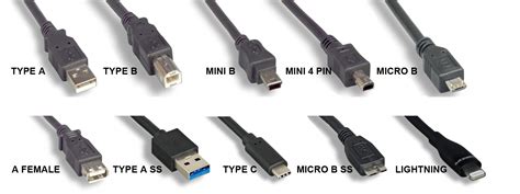 Usb Cable Different Types | atelier-yuwa.ciao.jp