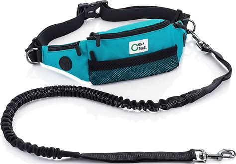 Best Hiking Gear for Dogs to Join Your Outdoor Adventures