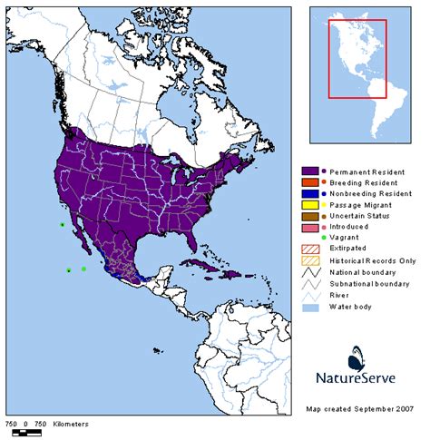 Tennessee Watchable Wildlife | Northern Mockingbird - Habitat: 1