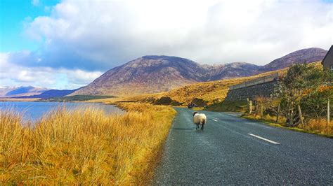 Gaeltacht Language Planning Areas - Gaelphobal