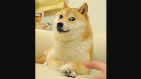 Doge Meme Original