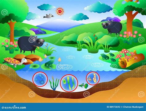 Ecosystem Cartoons, Illustrations & Vector Stock Images - 60657 ...