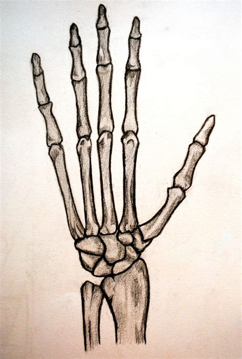 Skeleton Hand by shinigamixandie on DeviantArt