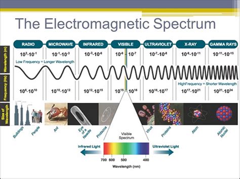 What Do Microwaves Have in Common With Light Waves